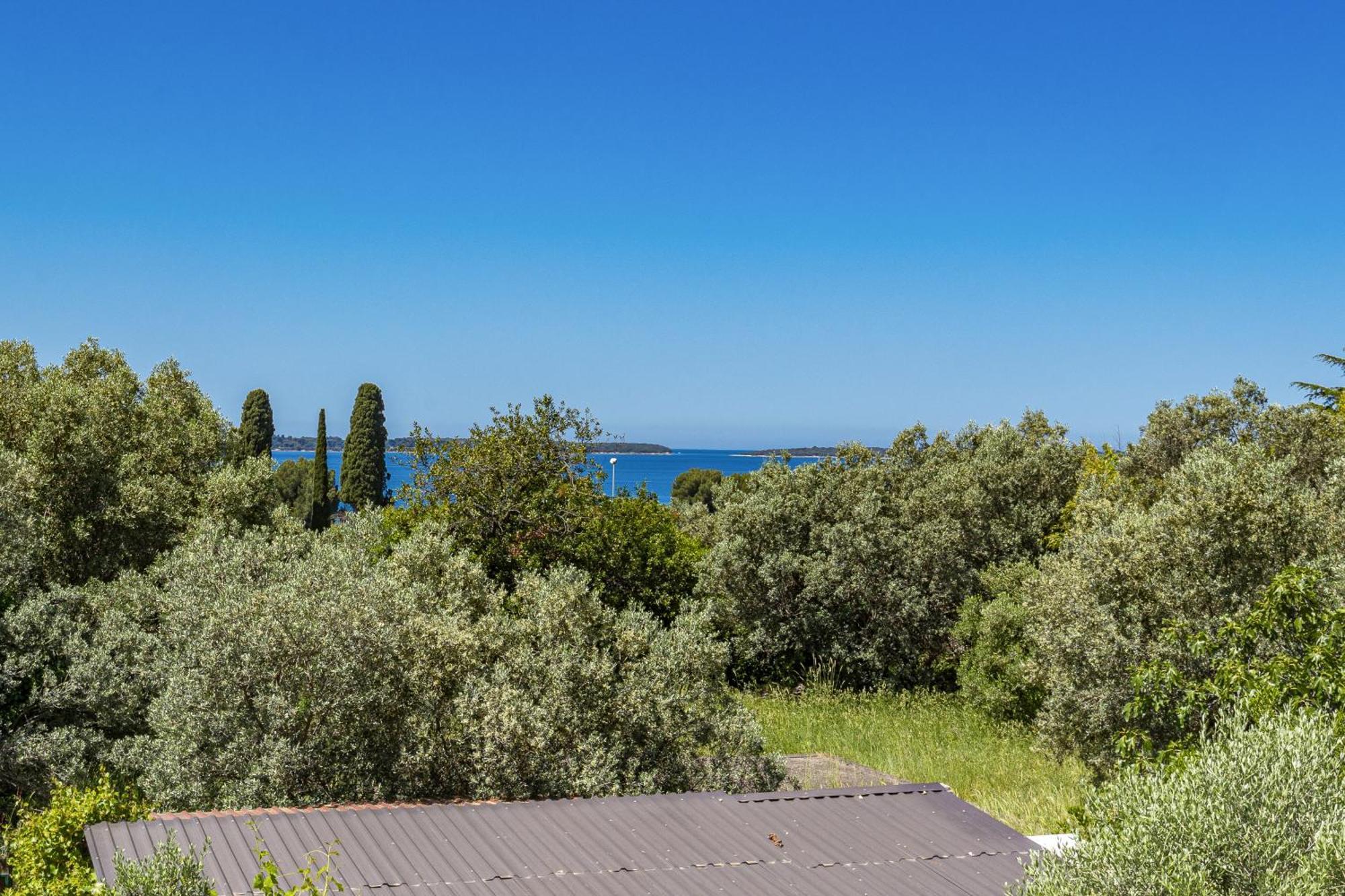 Apartment Nenad - Amazing Sea View ! Only 500 Meters From The Beach ! Fažana Kültér fotó